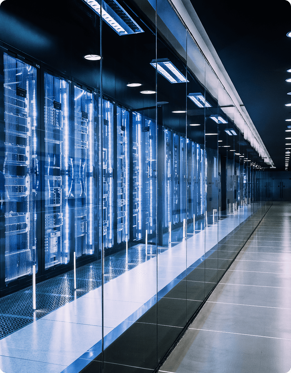 A modern data center hallway buzzes with precision, as catalog data specialists expertly manage rows of illuminated server racks lining the reflective glass walls.